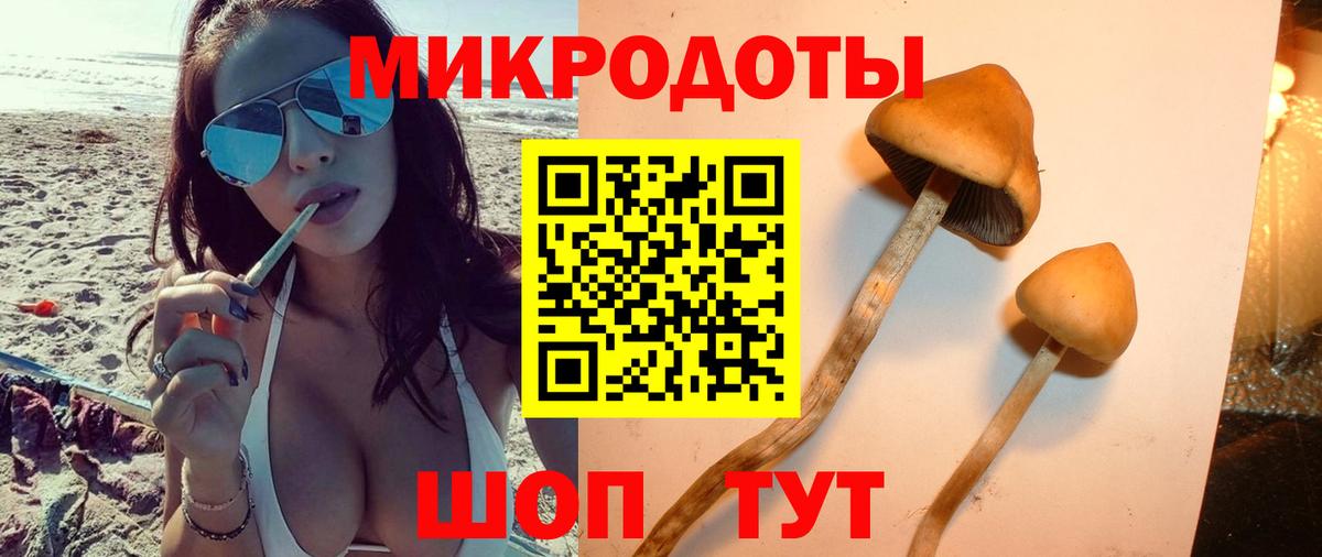 Псилоцибиновые грибы Cubensis Батайск